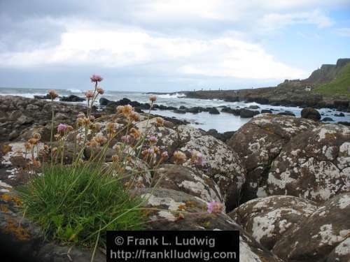 Giant's Causeway